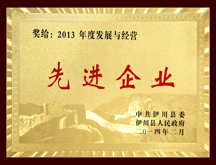 2013年度发展与经营先进企业