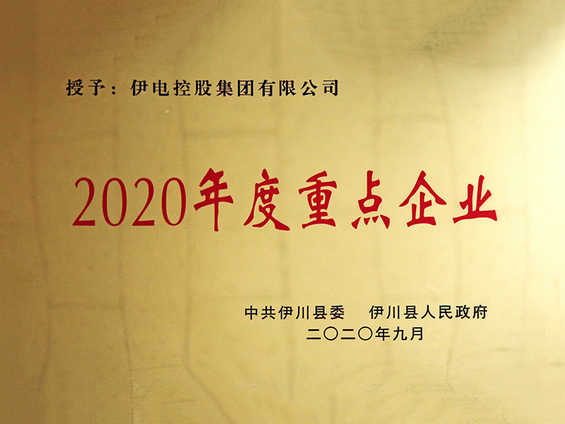 2020年度重点企业
