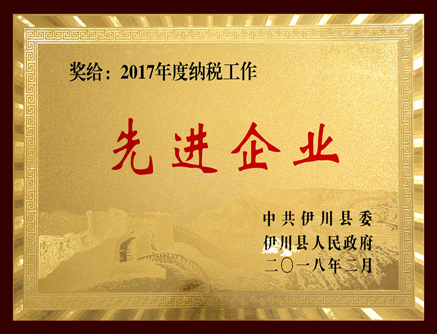 2017年度纳税工作先进企业