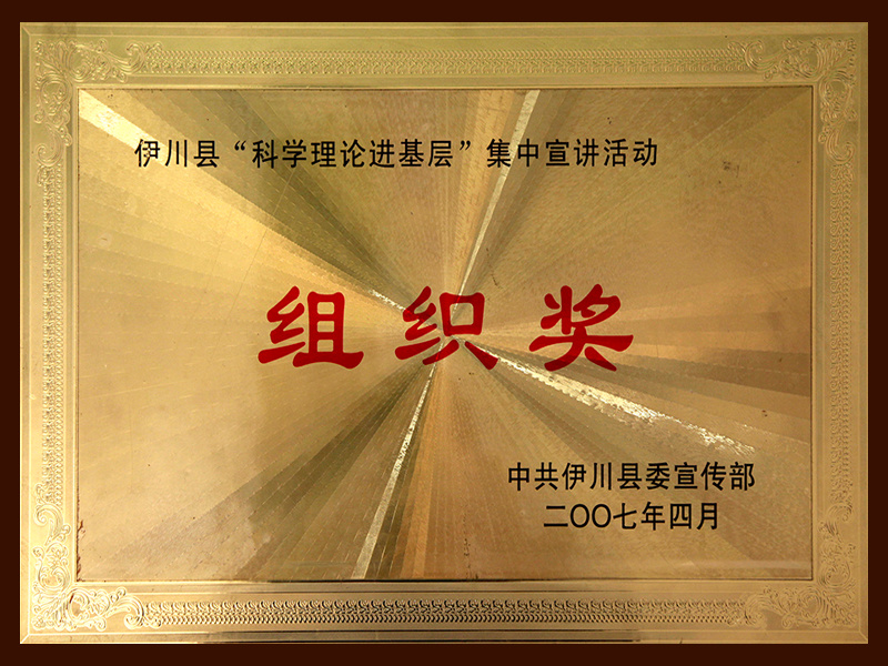 伊川县组织奖