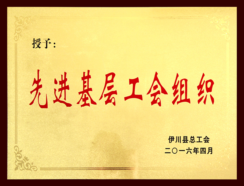 先进基层工会组织