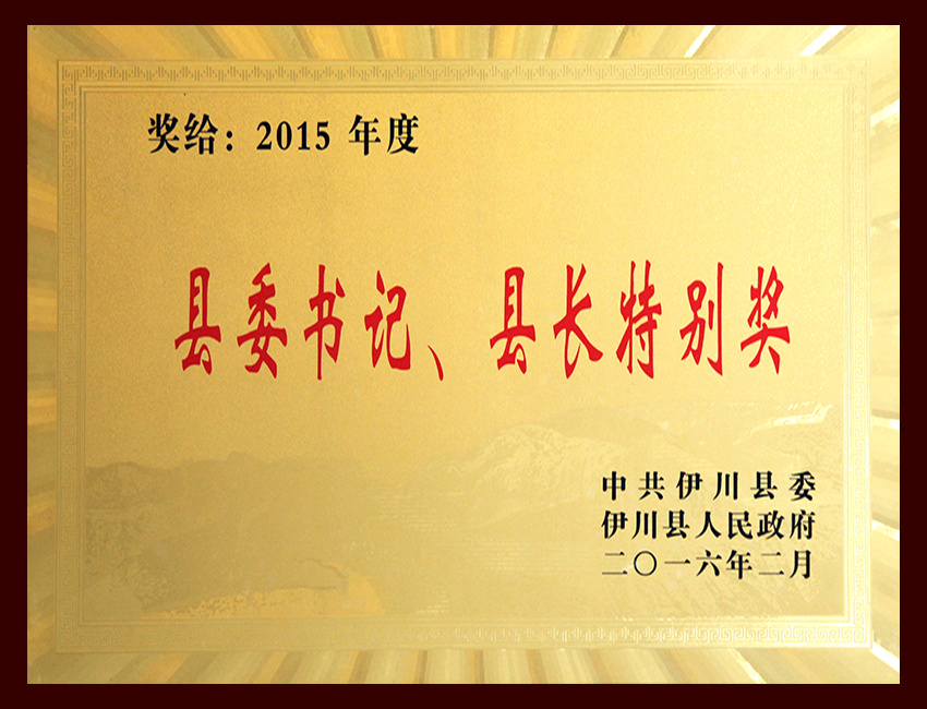 2015年度县委书记、县长特别奖