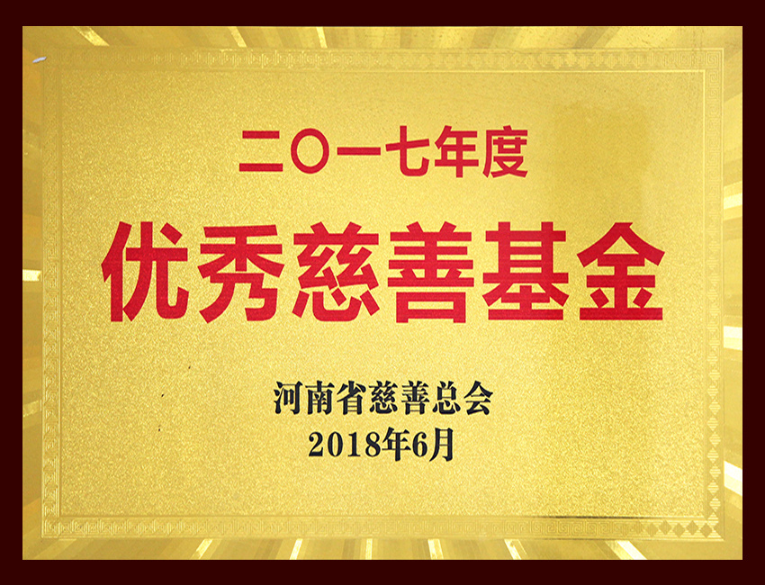2017年度优秀慈善基金