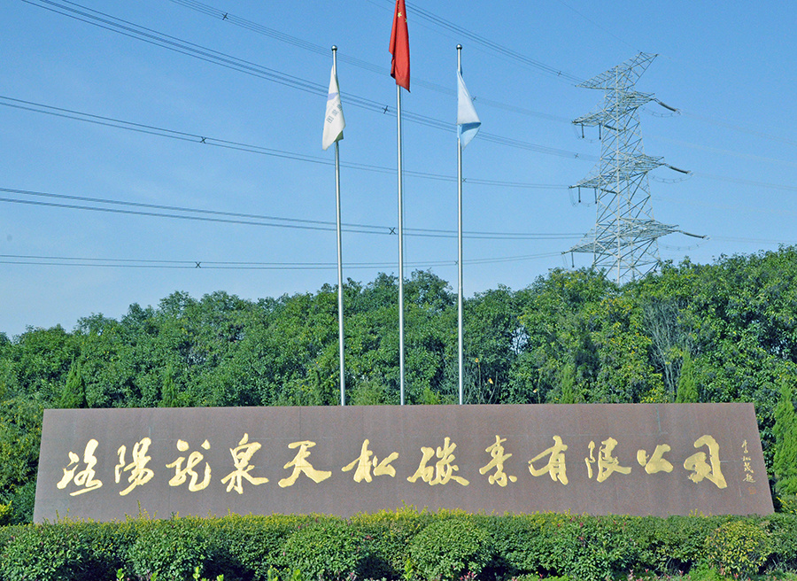 洛阳龙泉天松碳素有限公司