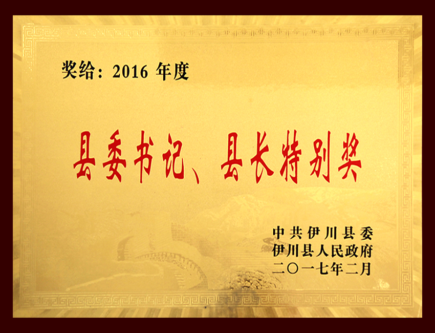 2016年度县委书记、县长特别奖