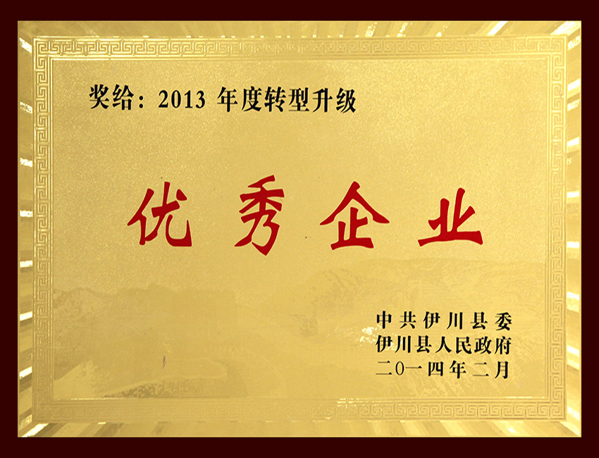 2013年度转型升级优秀企业