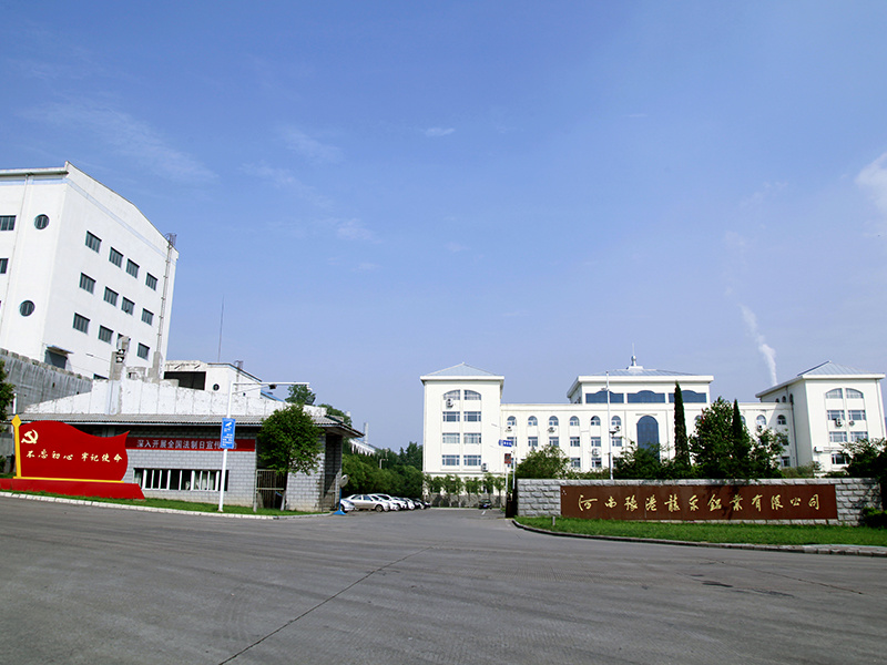 河南豫港龙泉铝业有限公司