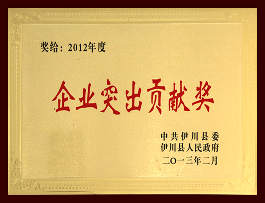 2012年度企业突出贡献奖