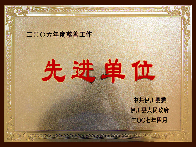 伊川县先进单位